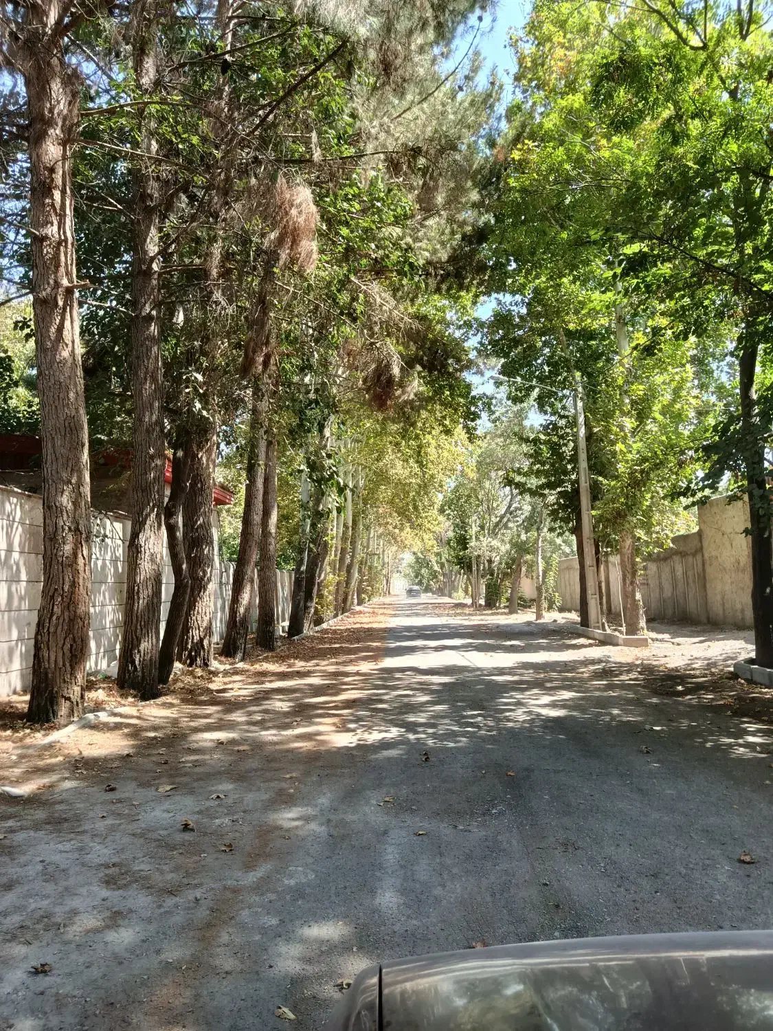 ۴۰۰ هکتار زمین استان البرز|فروش زمین و ملک کلنگی|کرج, اتمسفر|دیوار