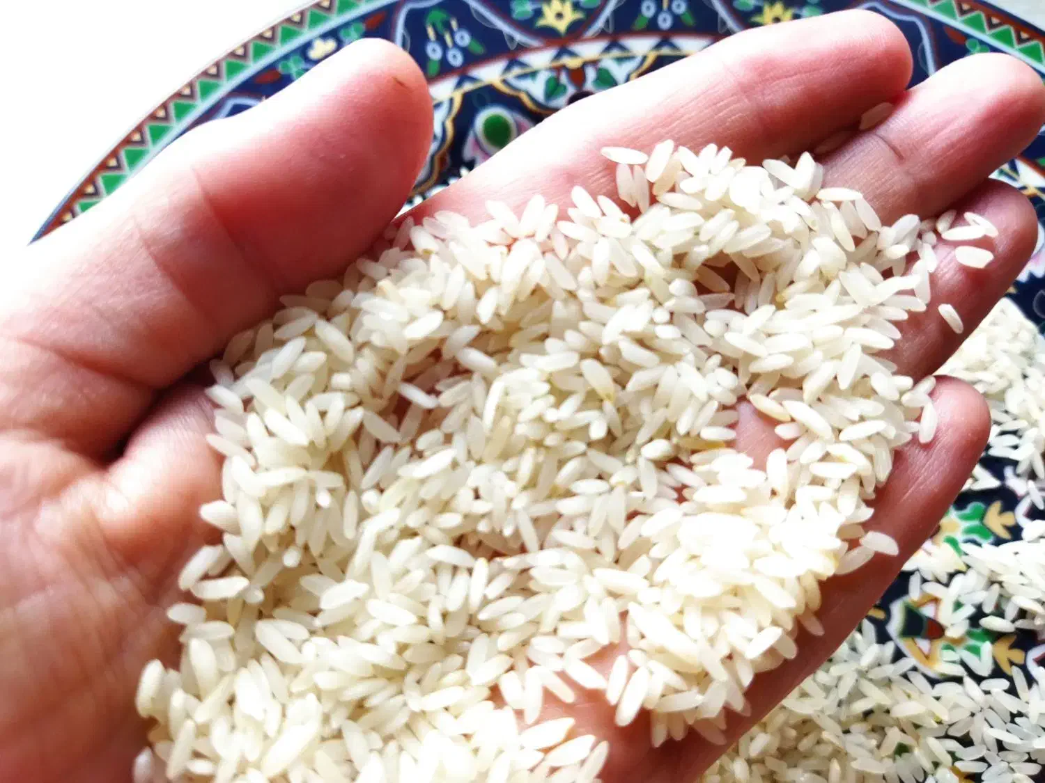 برنج عنبربوی خوزستان|خوردنی و آشامیدنی|رشت, لاکان شهر|دیوار