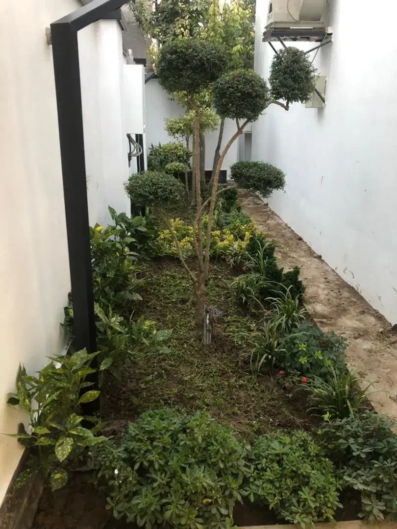 باغبانی کاشت گل و گیاه هرس ‌ سم پاشی|خدمات باغبانی و درختکاری|چهارباغ, |دیوار