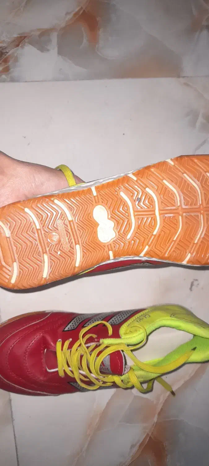 کفش سالن|کیف، کفش، کمربند|تبریز, |دیوار