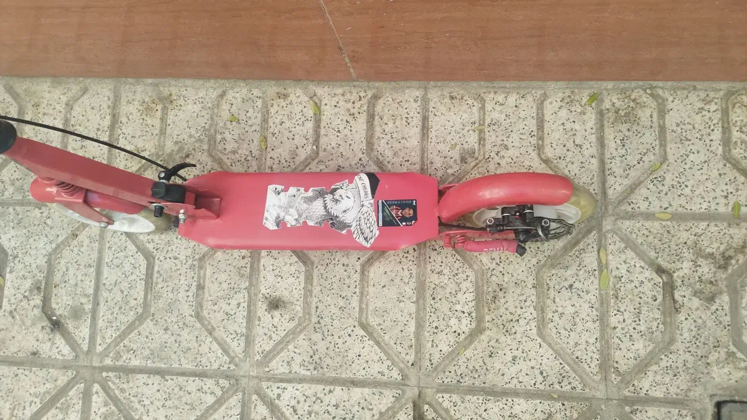 اسکوتر بزرگسال|دوچرخه، اسکیت، اسکوتر|مشهد, عبادی|دیوار