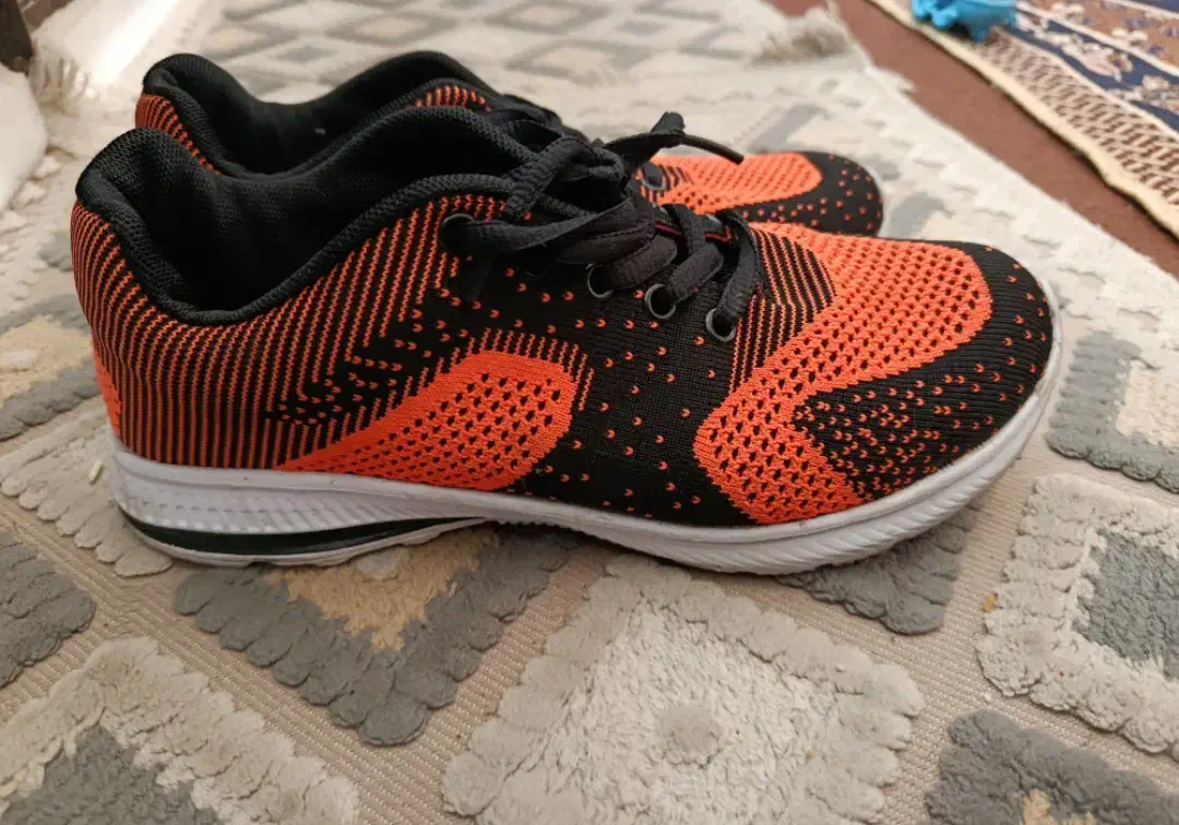 کفش اسپورت کفش پاشنه دار کفش عروس|کیف، کفش، کمربند|شیراز, کوشک میدان|دیوار