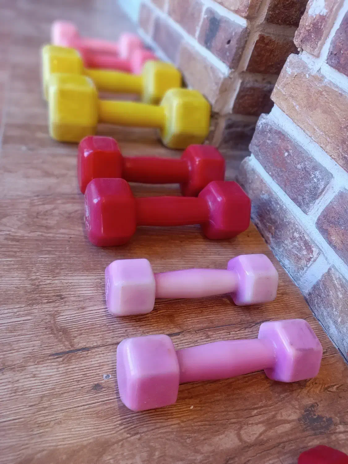 دمبل ورزشی|تجهیزات ورزشی|طرقبه, |دیوار