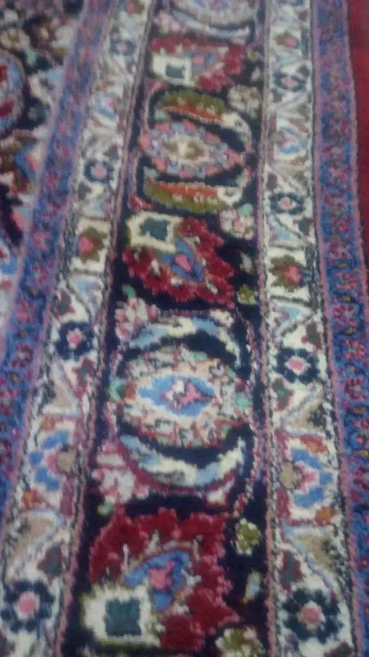 قالی دستی ۶ متری پشمی|فرش|مشهد, ادیب نیشابوری (شهرک غرب)|دیوار