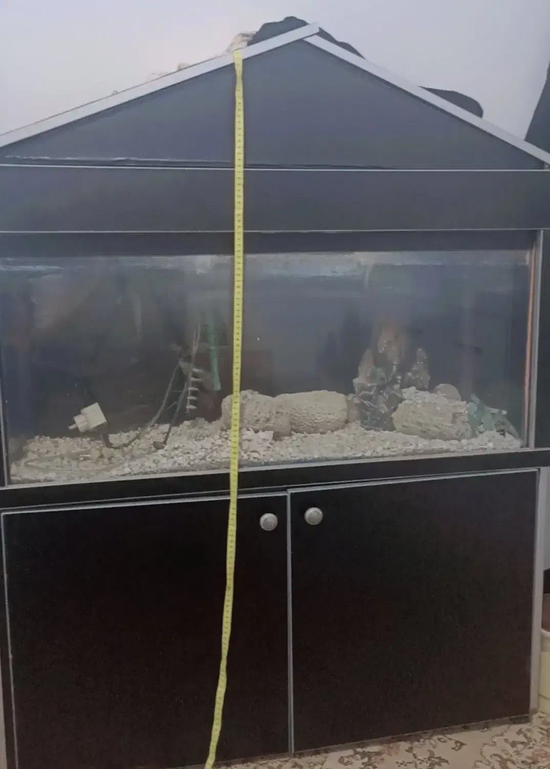 اکواریوم|ماهی|اردبیل, |دیوار