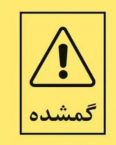 گمشده سگ پاکوتاه ماده|حیوانات|بم, |دیوار