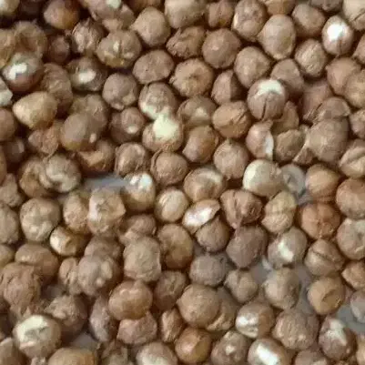 مغز فندق بسته های 5 کیلویی|خوردنی و آشامیدنی|رباط‌کریم, مسکن مهر آبشناسان|دیوار