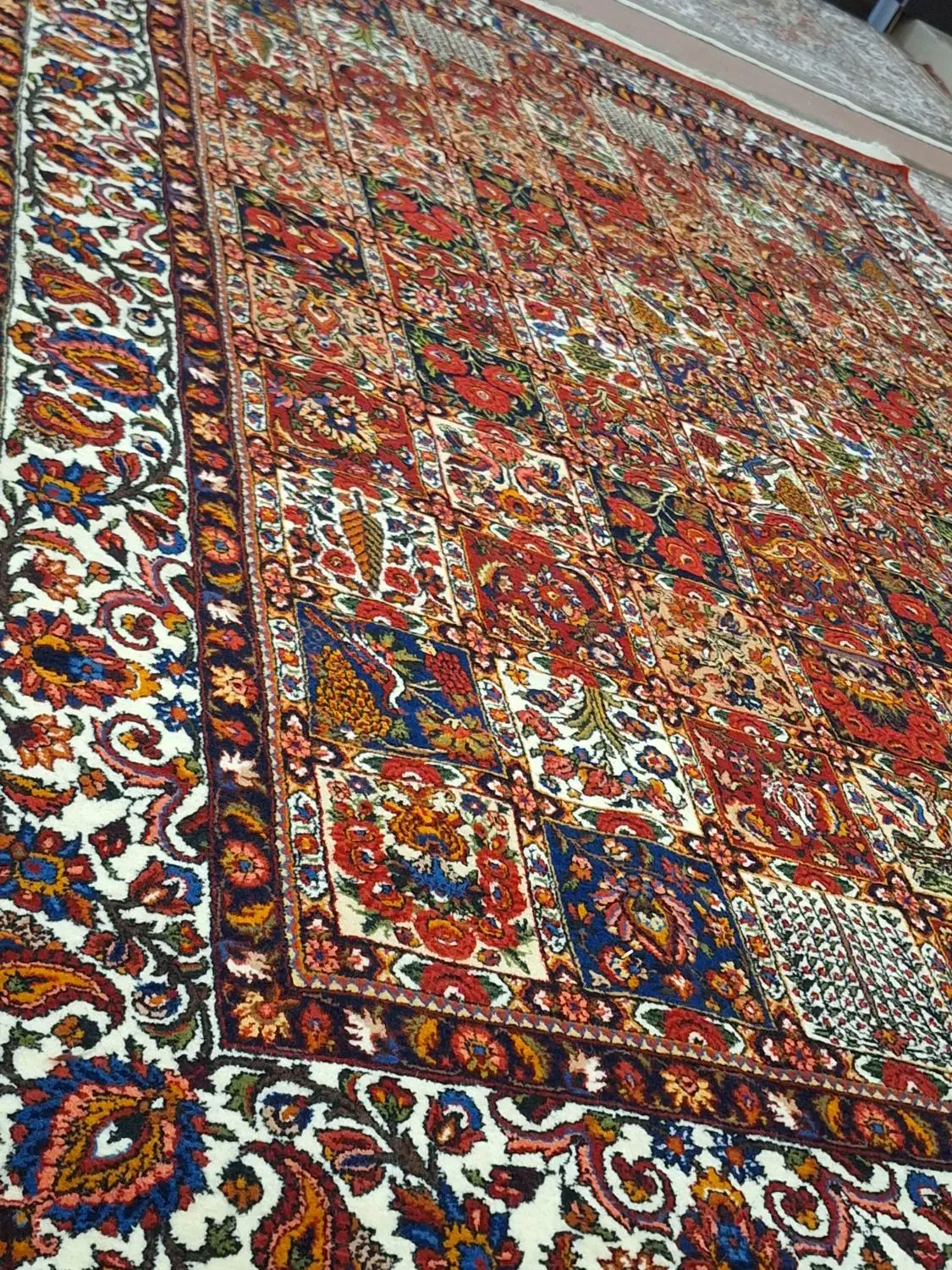 قالی دستبافت|فرش|سامان, |دیوار