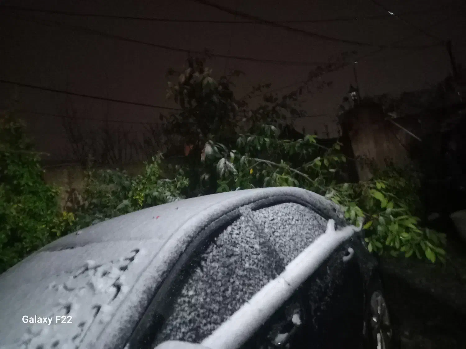 ام جی ۳۶۰ دنده تحویل ۹۹ بیمه ۱سال|خودرو سواری و وانت|تهران, سازمان برنامه شمالی|دیوار