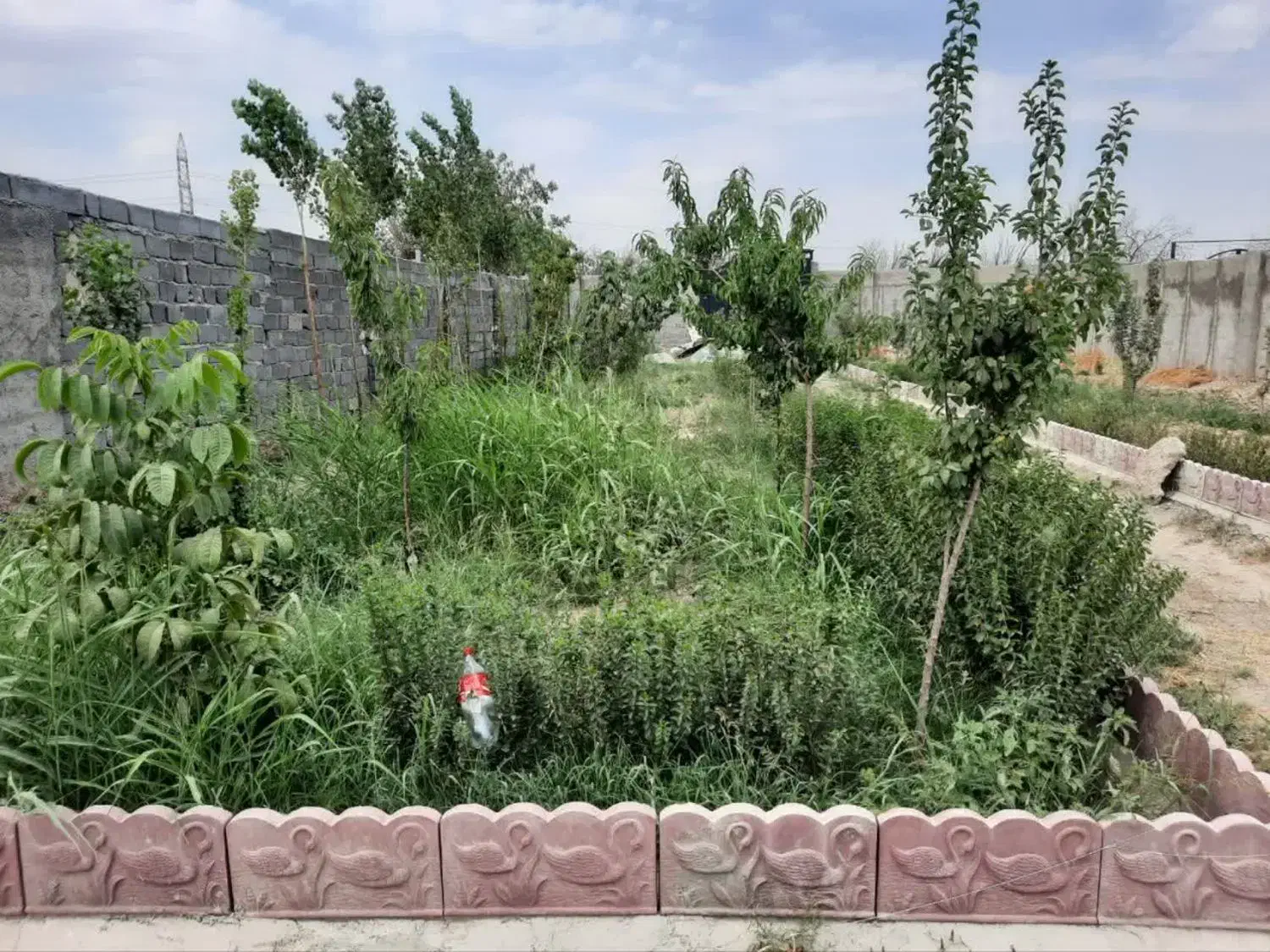 باغچه 700متری قابل معاوضه|فروش دفتر صنعتی، کشاورزی، تجاری|باغستان, |دیوار