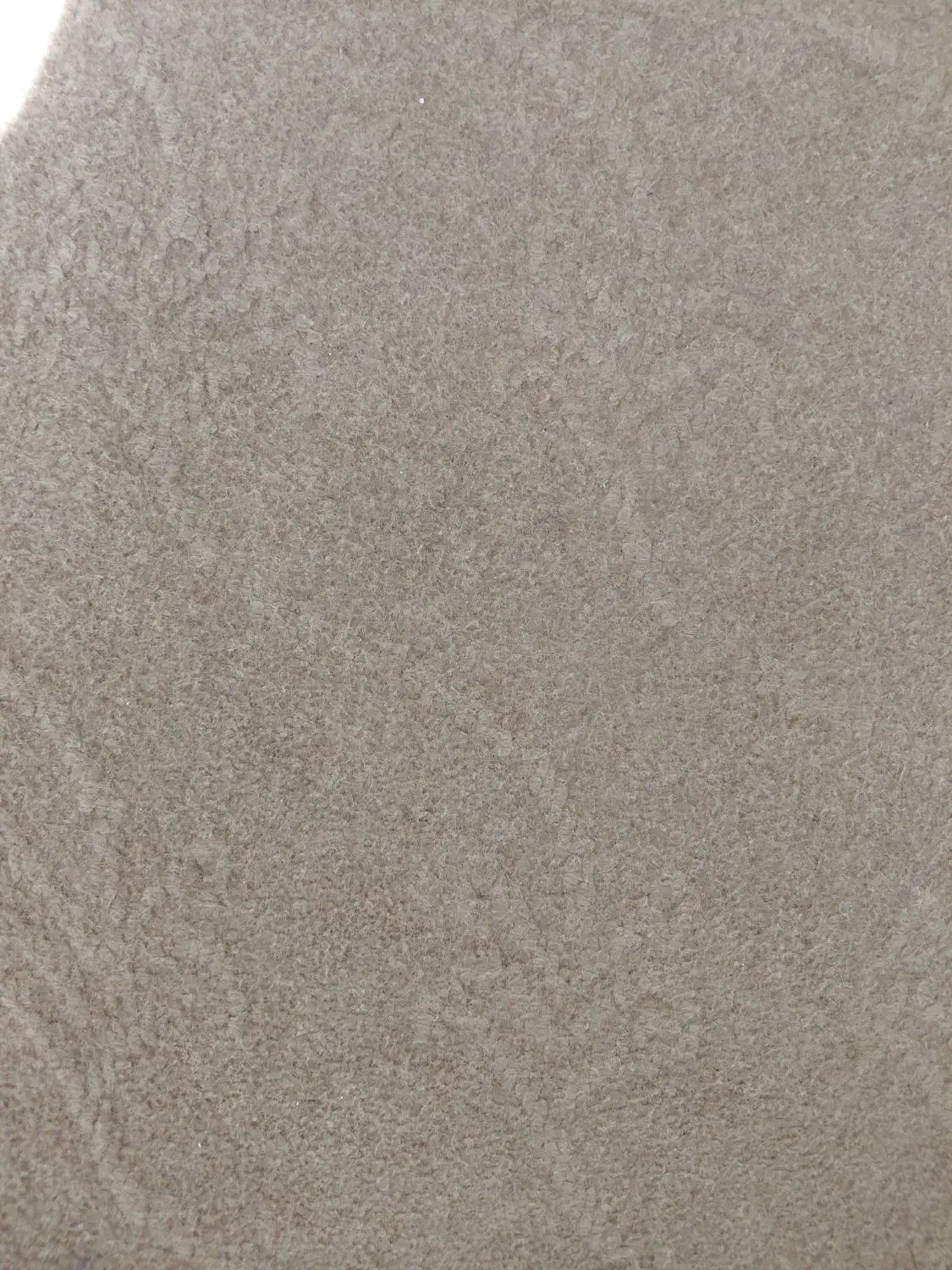 موکت شسته شده و تمیز|موکت|بهار, |دیوار