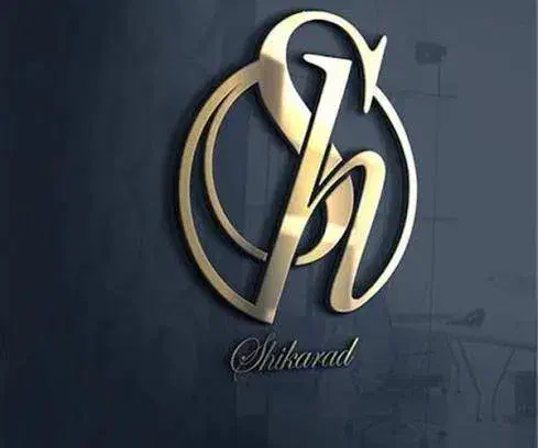 طراح لوگو حرفه ای از ۲۰۰ هزار تومان|خدمات رایانه‌ای و موبایل|گرگان, |دیوار