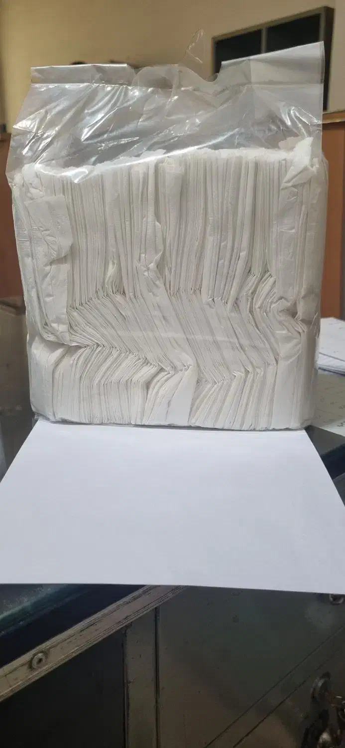 دستمال کاغذی|مواد شوینده و دستمال کاغذی|مشهد, ارشاد|دیوار