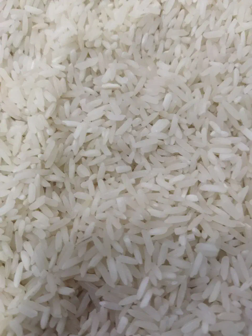 برنج امریکایی و تایلندی|خوردنی و آشامیدنی|ایلام, |دیوار