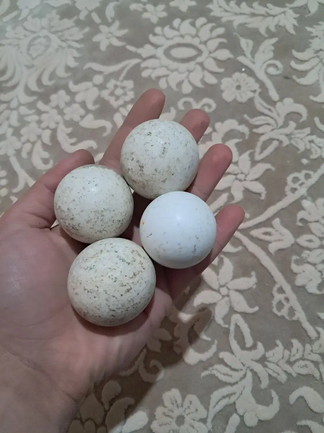 الماس اسیاب|جواهرات|بروجرد, |دیوار