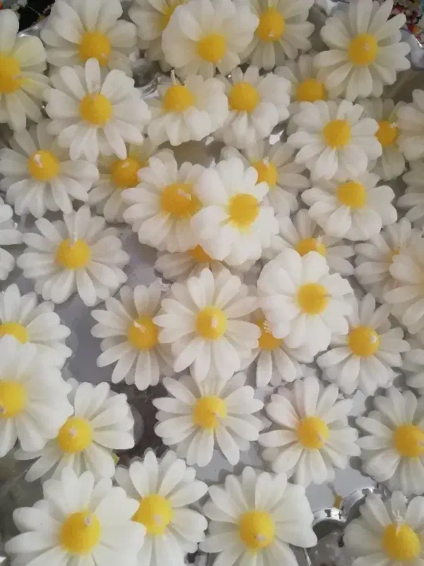 بابونه|صنایع دستی و سایر لوازم تزئینی|شاهین‌شهر, الهیه|دیوار
