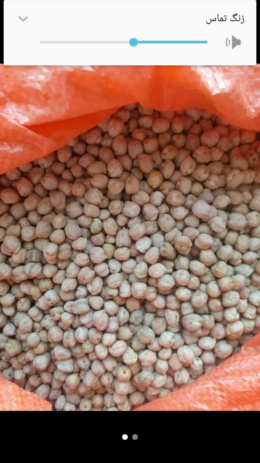 فروش یک تن نخودو ۳۰۰ کیلو نخود|عمدهفروشی|قیدار, |دیوار