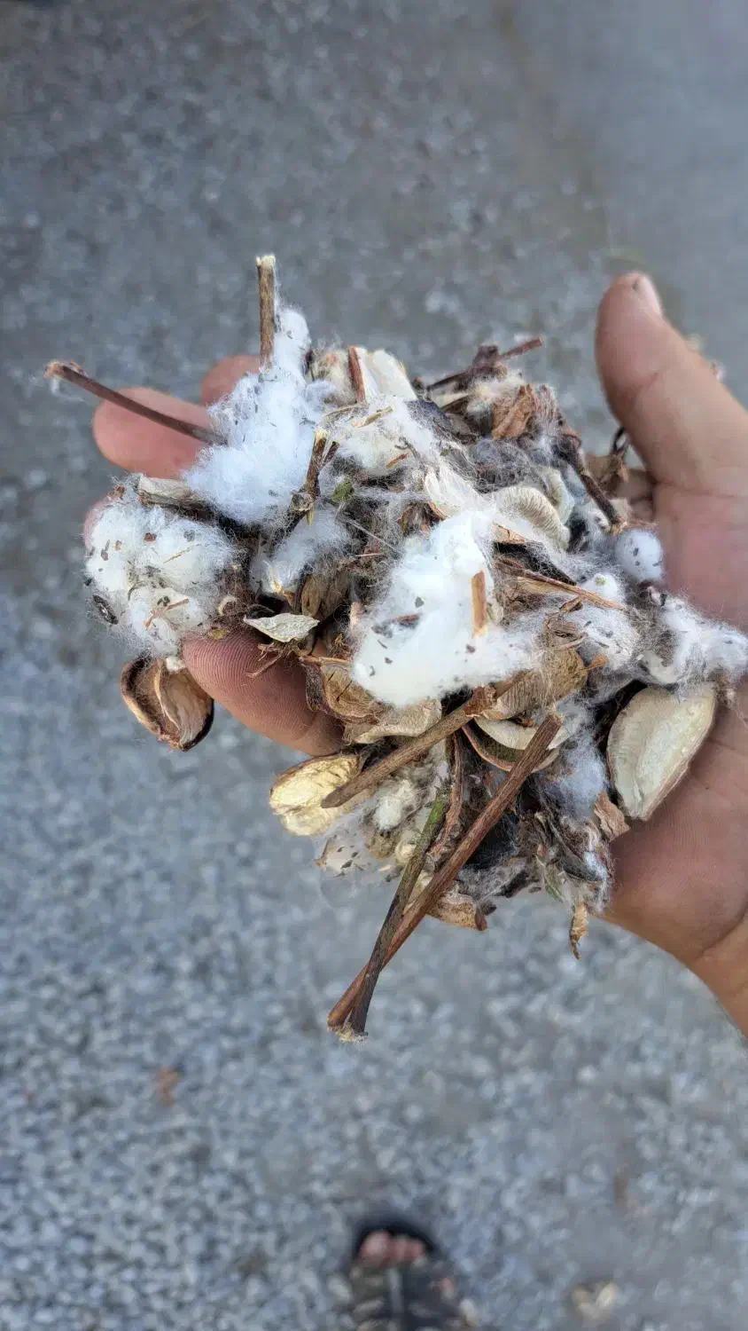 کاه پنبه|خدمات پیشه و مهارت|ملکان, |دیوار