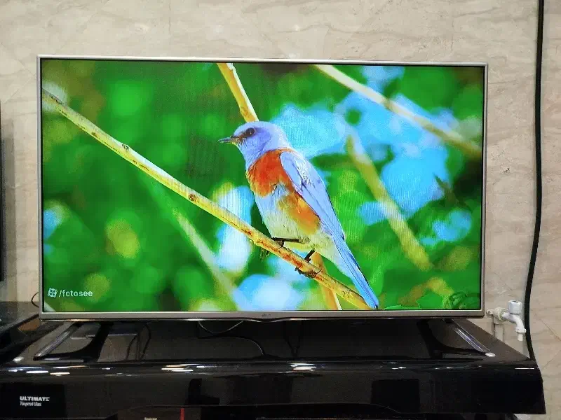 تلویزیون ۴۹ اینچ LG ال ای دی 49LF55000GI|تلویزیون و پروژکتور|ساوه, |دیوار