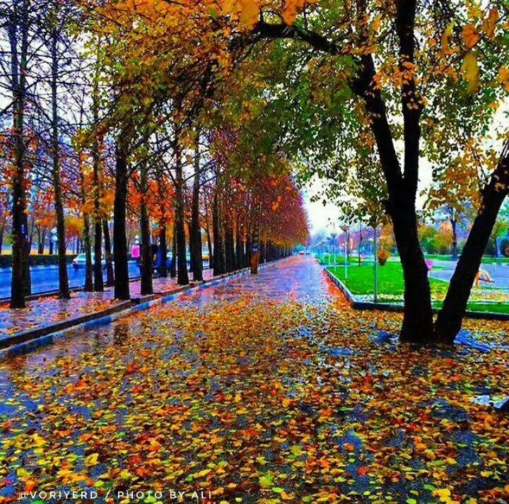 راهنمایی|فعالیت داوطلبانه تحقیقاتی|بروجرد, |دیوار