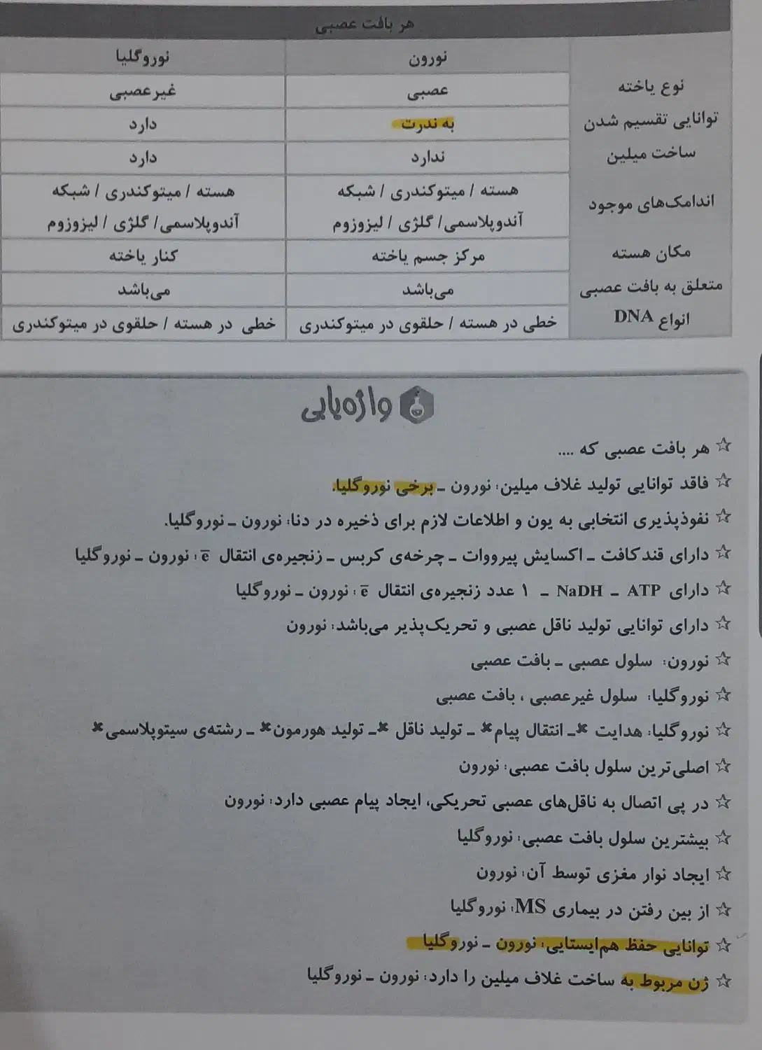 جزوه ی زیست یازدهم تجربی تا فصل ۴|کتاب و مجله آموزشی|اهواز, گلستان|دیوار