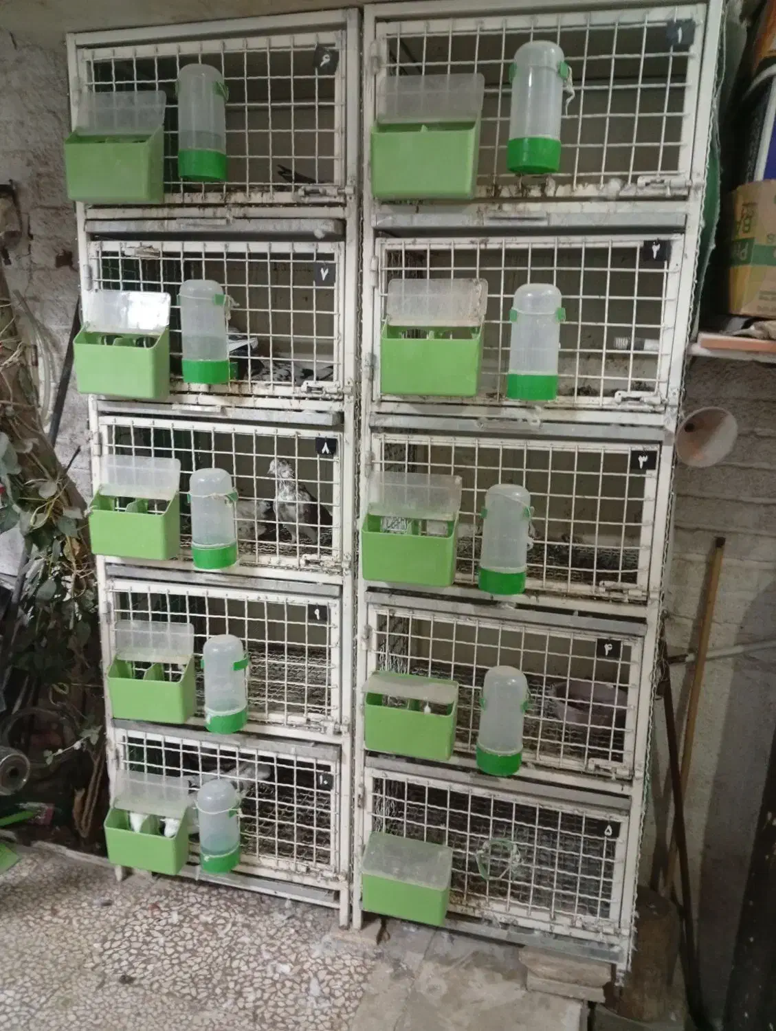 قفس آهنی جفتخوان ۵ طبقه خوب|لوازم جانبی حیوانات|قم, حاج زینل|دیوار