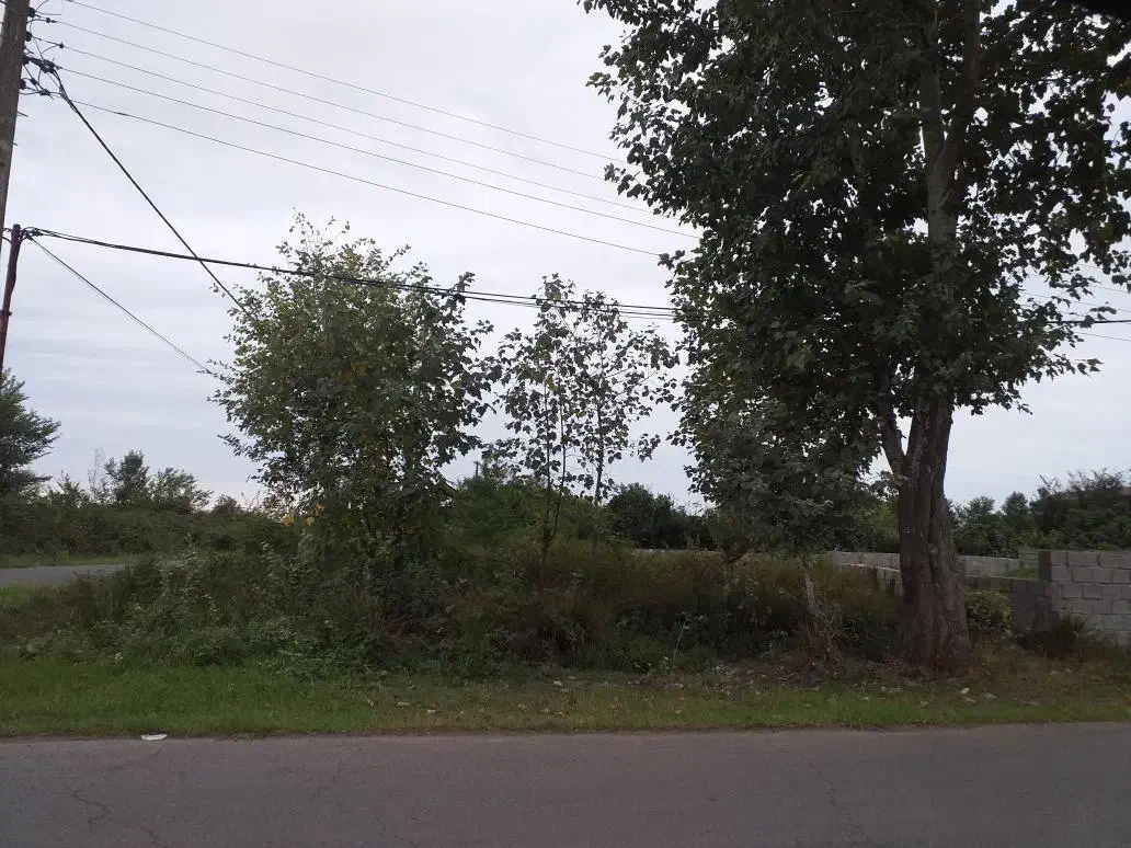 فروش زمین شمال|فروش زمین و ملک کلنگی|واجارگاه, |دیوار