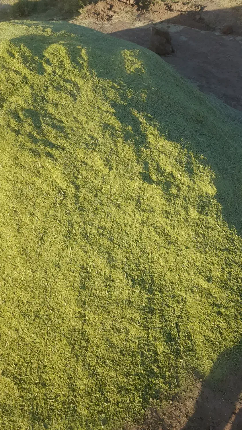 خار بجای یونجه استفاده کن|لوازم جانبی حیوانات|اصفهان, آزادان|دیوار