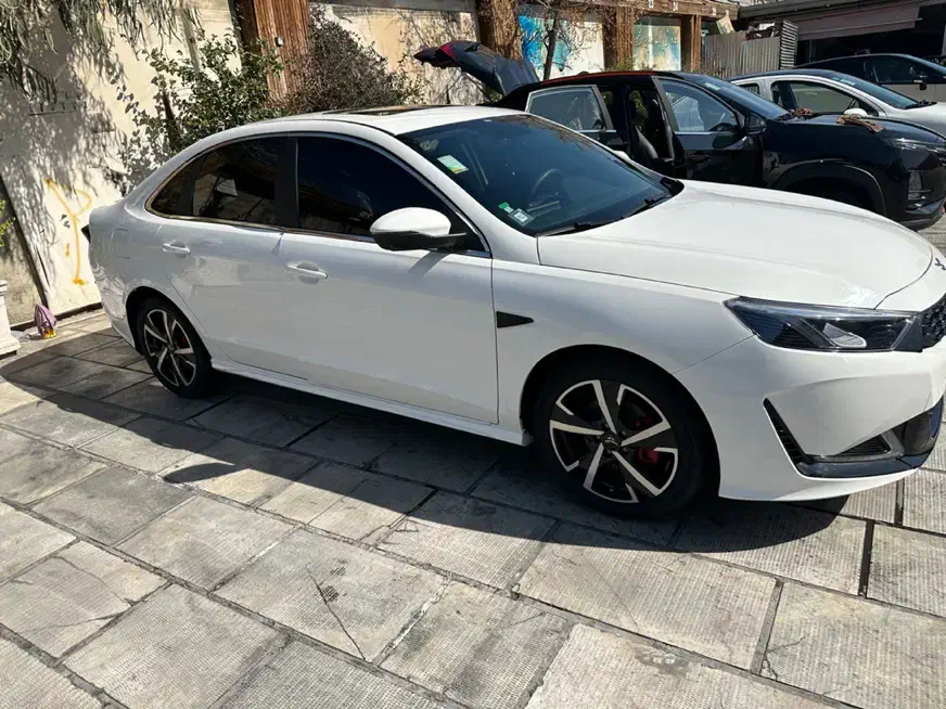 رسپکت ۴۰۳|خودرو سواری و وانت|تهران, درختی|دیوار