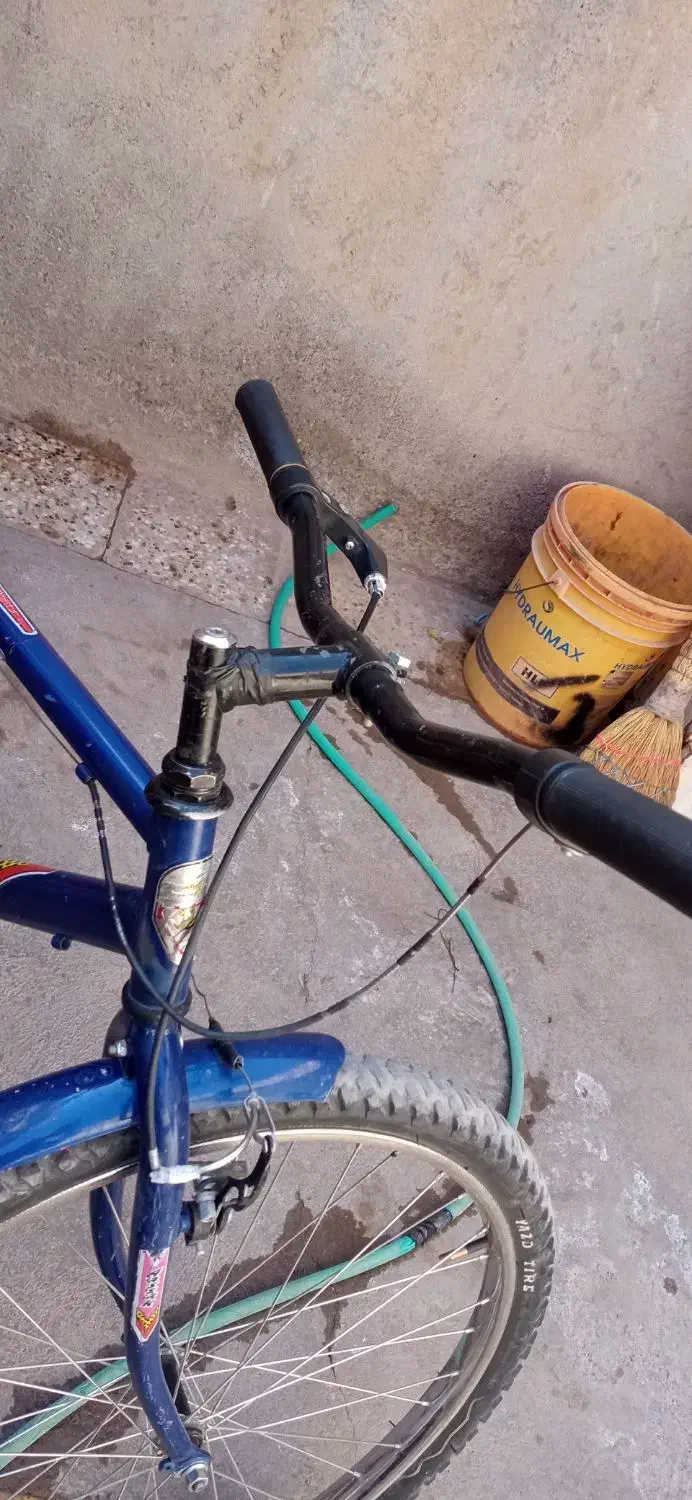 دوچرخه سند دار آساک دماوند|دوچرخه، اسکیت، اسکوتر|تربت جام, جامی|دیوار