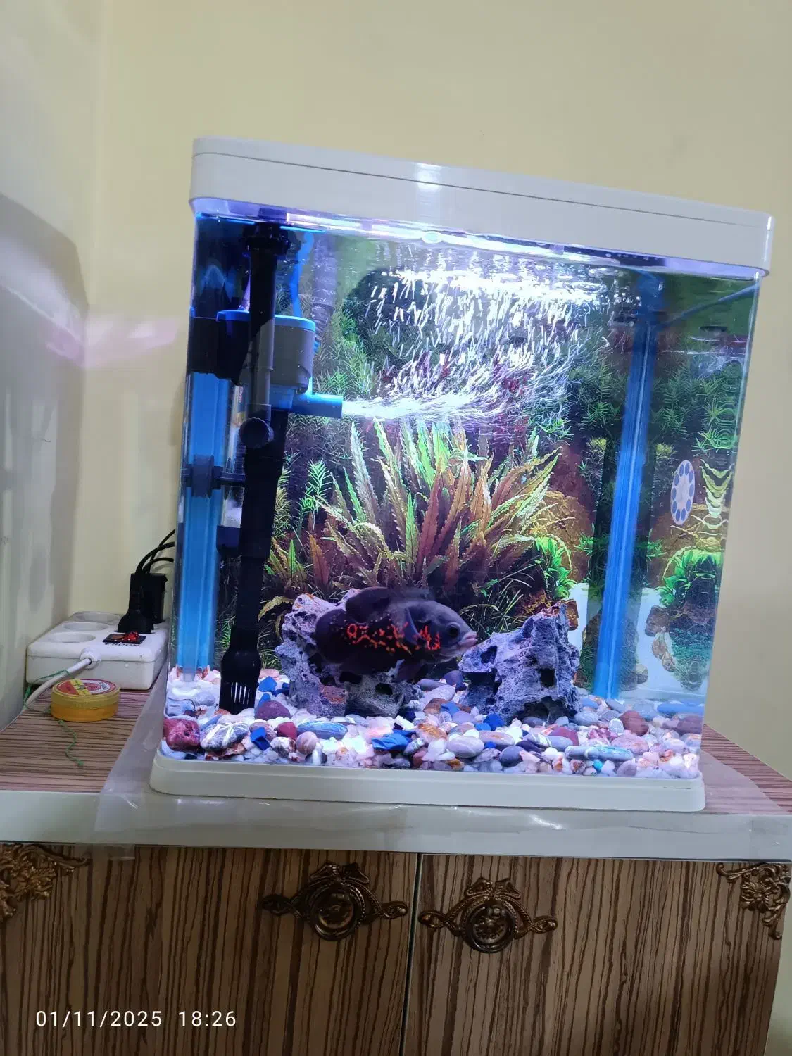 آکواریوم k390|ماهی|اهواز, پردیس دو|دیوار