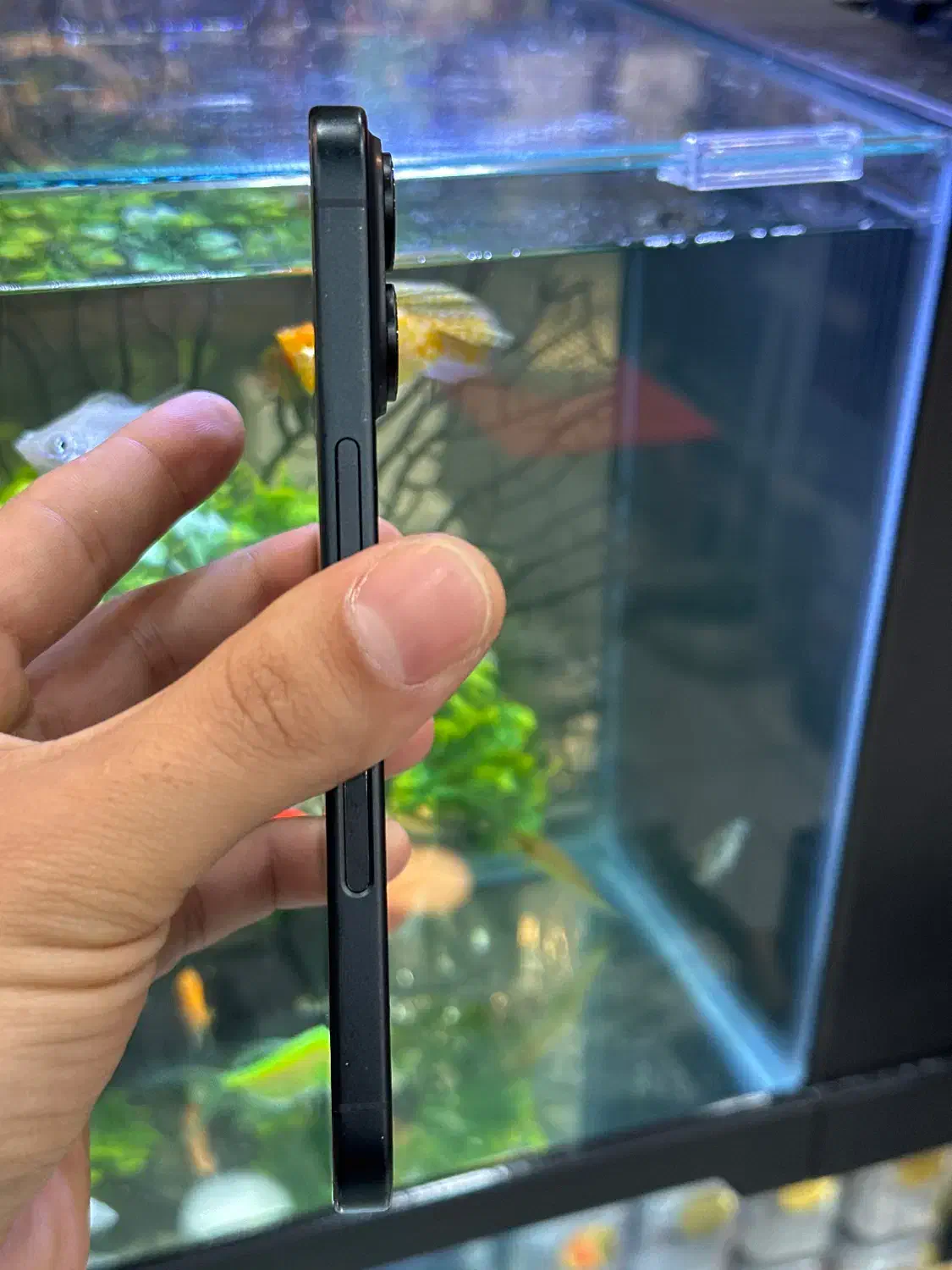 iphone 16|موبایل|شیراز, زند|دیوار