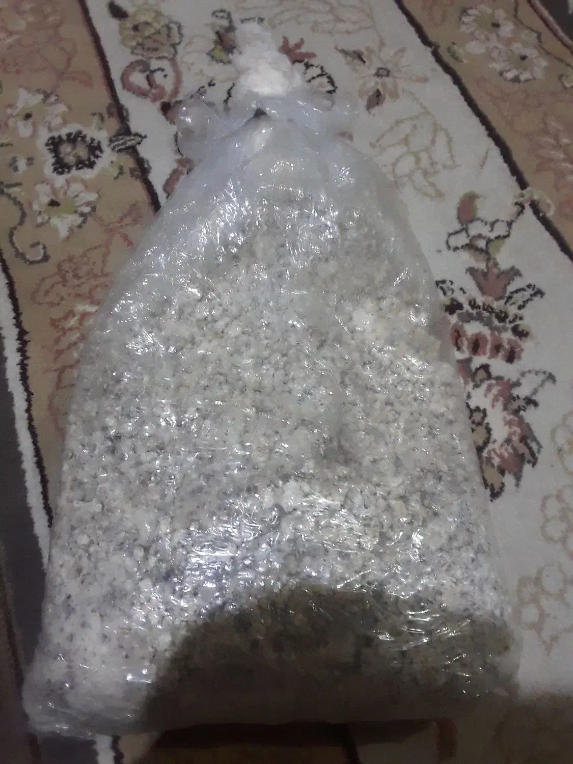 بذر قارچ کشت در منزل|گل و گیاه طبیعی|تربت جام, مسکن مهر|دیوار