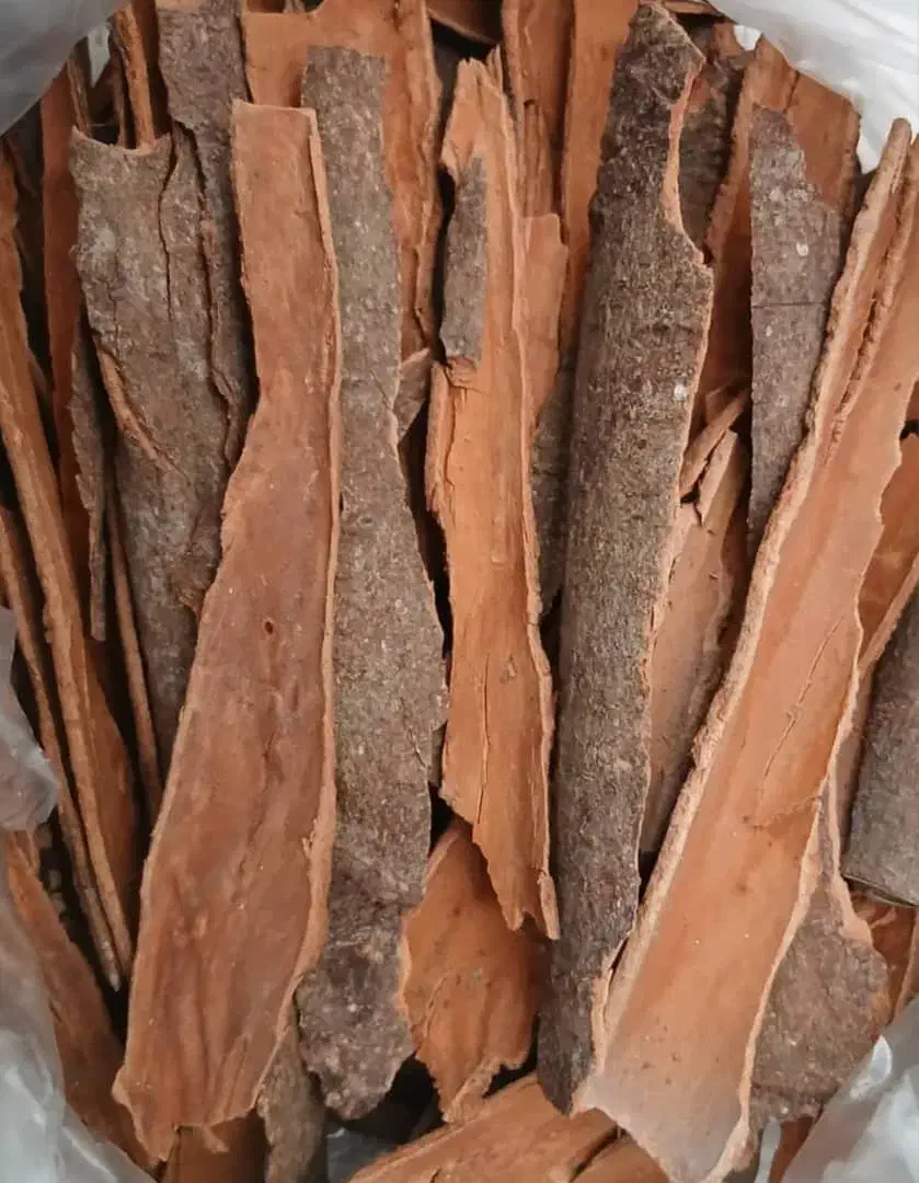 تولیدو پخش ادویه و چاشنی جات|عمدهفروشی|تربتحیدریه, کاشانی|دیوار