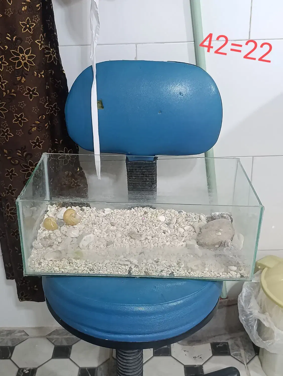 چند عدد آکواریوم و وسایل|حراج|اقبالیه, |دیوار