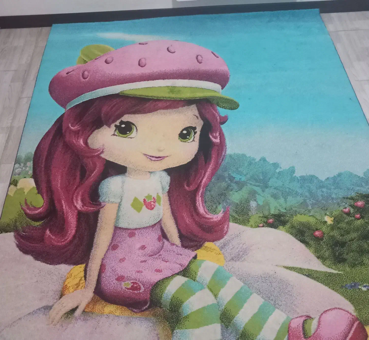 گلیم فرش|گلیم، جاجیم، گبه|همدان, |دیوار