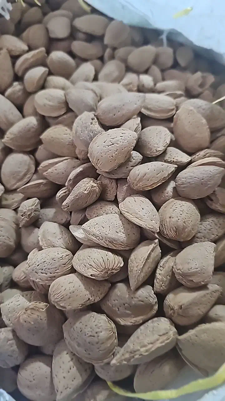 بادام شاهرودی ۸ با کیل ۲۱۵ گرم|عمده‌فروشی|نجف‌آباد, شهرک صنعتی نجف آباد|دیوار