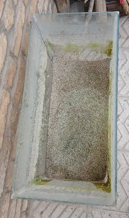 آکواریوم|ماهی|یزد, |دیوار