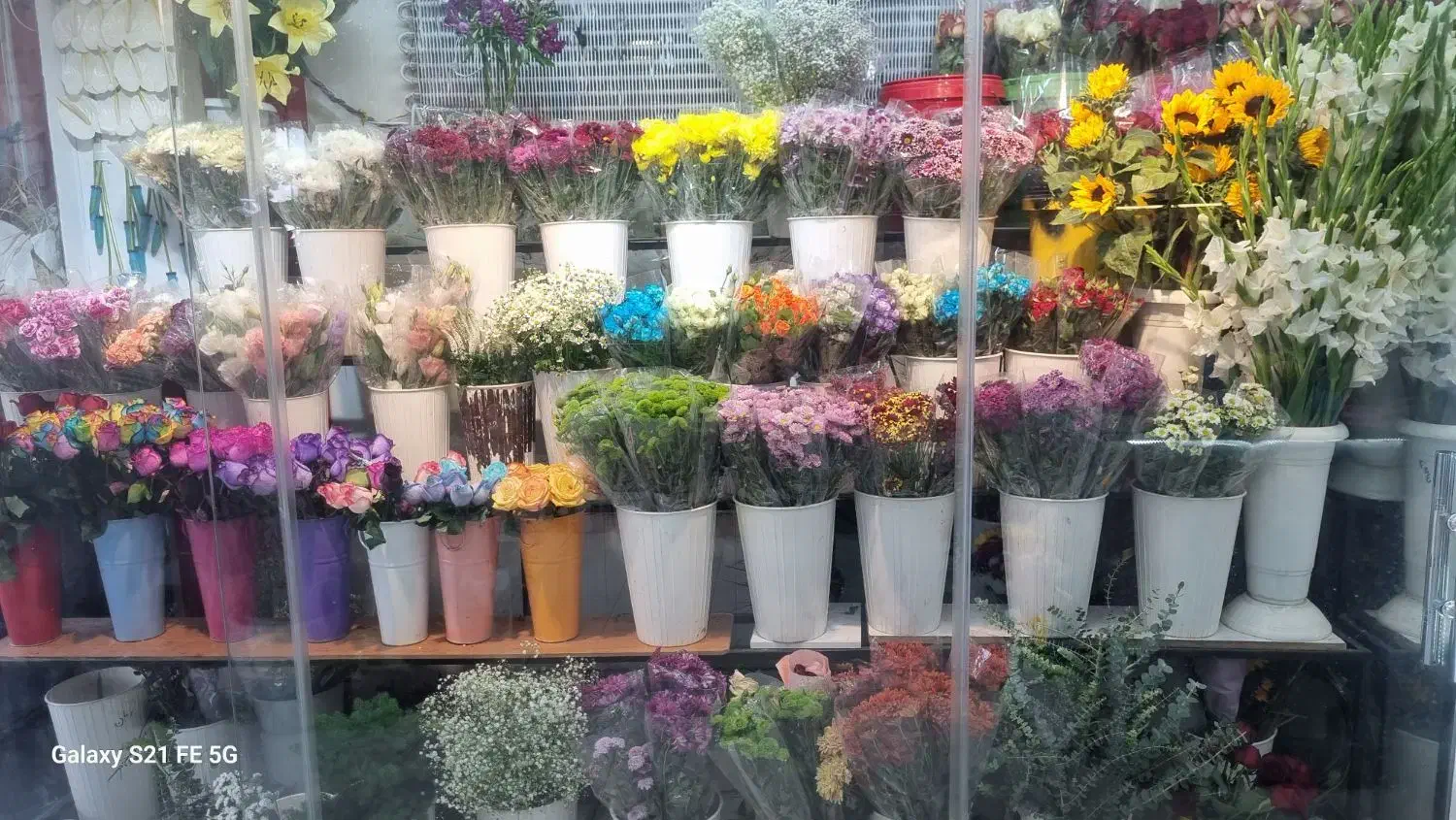 گل فروشی فرهادی فیروزآباد فارس|گل و گیاه طبیعی|فیروزآباد (فارس), |دیوار