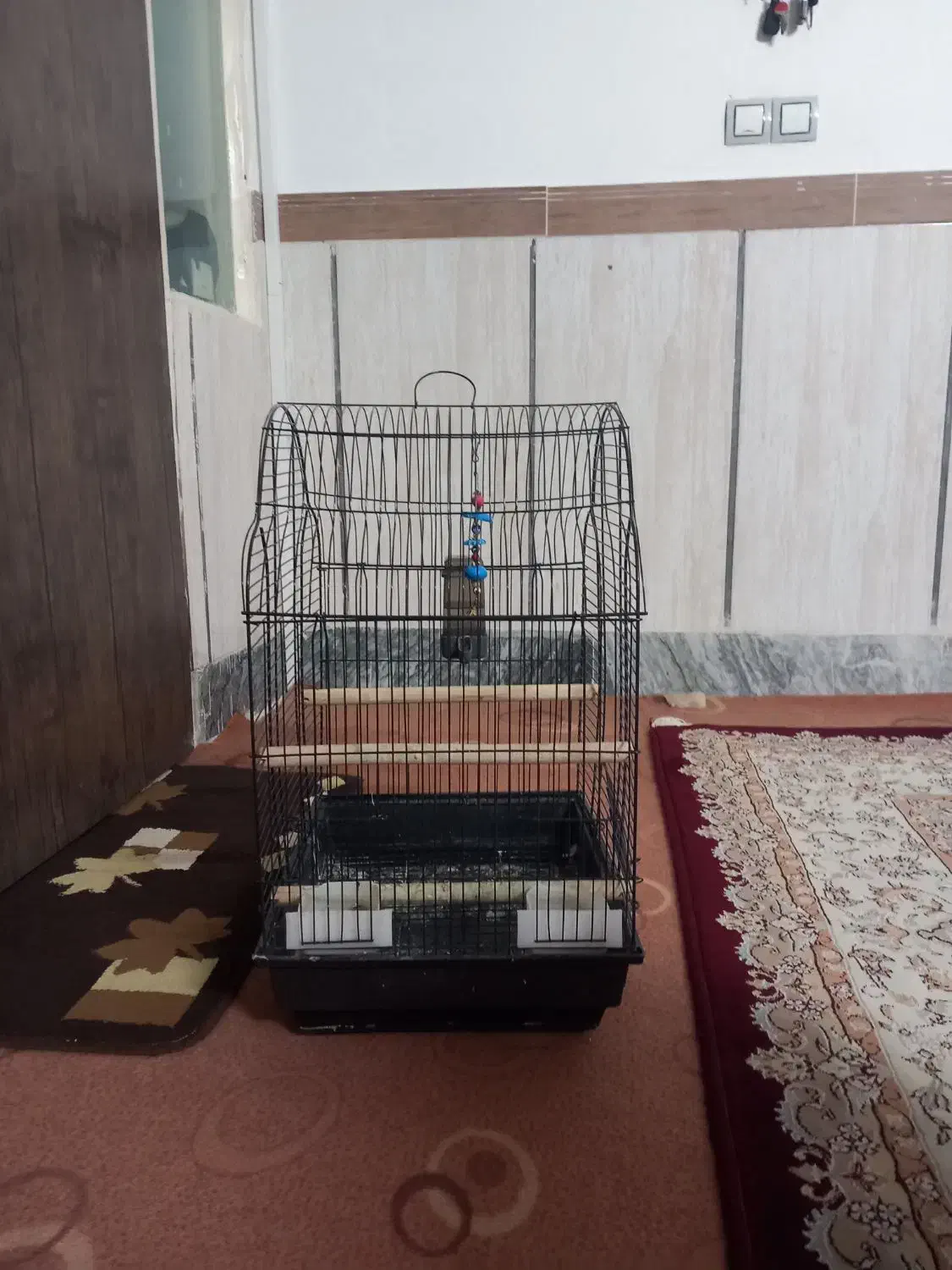 قفس پرنده|لوازم جانبی حیوانات|بروجرد, |دیوار