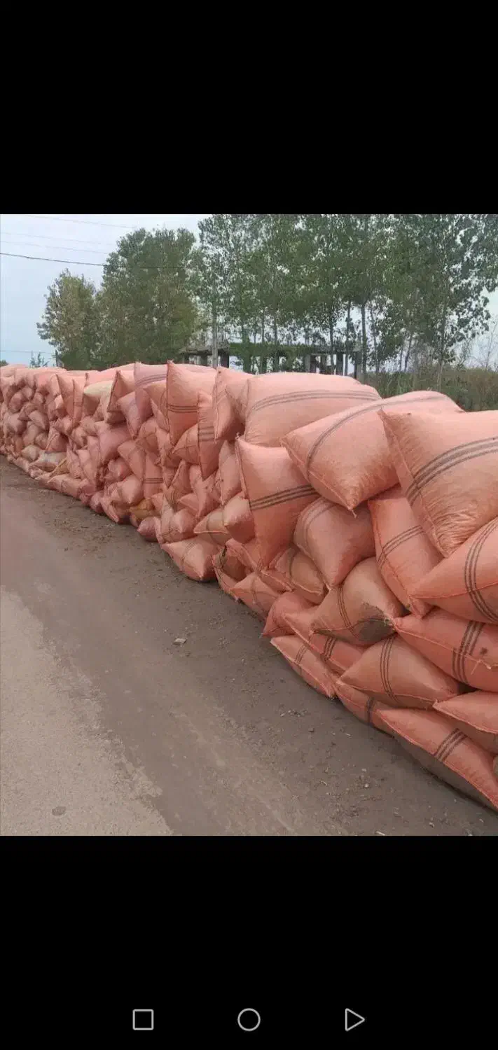 پوست بادام مناسب گل گیاه|گل و گیاه طبیعی|چابکسر, |دیوار