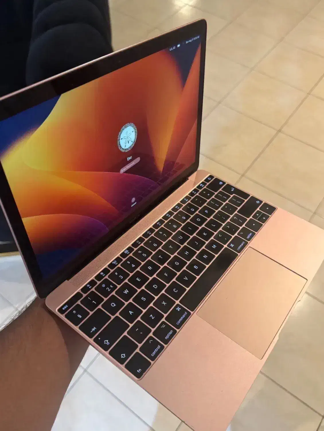 سبکترین و باریکترین مک بوک 12 اینچ  سال 2017|رایانه همراه|تهران, دریاچه شهدای خلیج فارس|دیوار