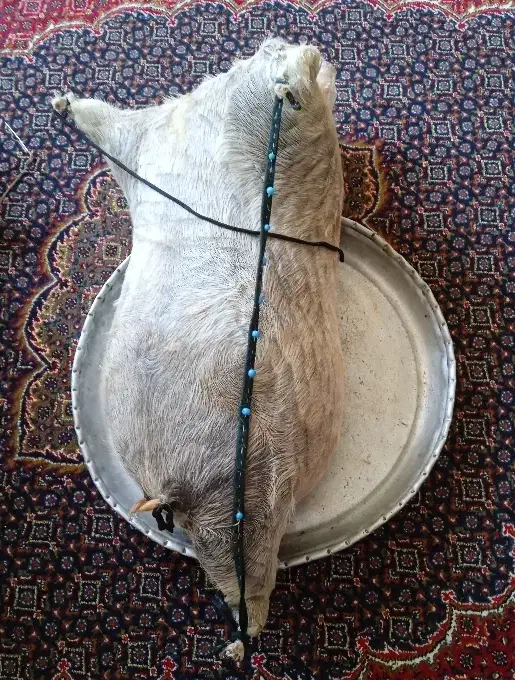 هیزه جا روغن|ظروف نگهدارنده، پلاستیکی، یکبارمصرف|رومشکان, |دیوار