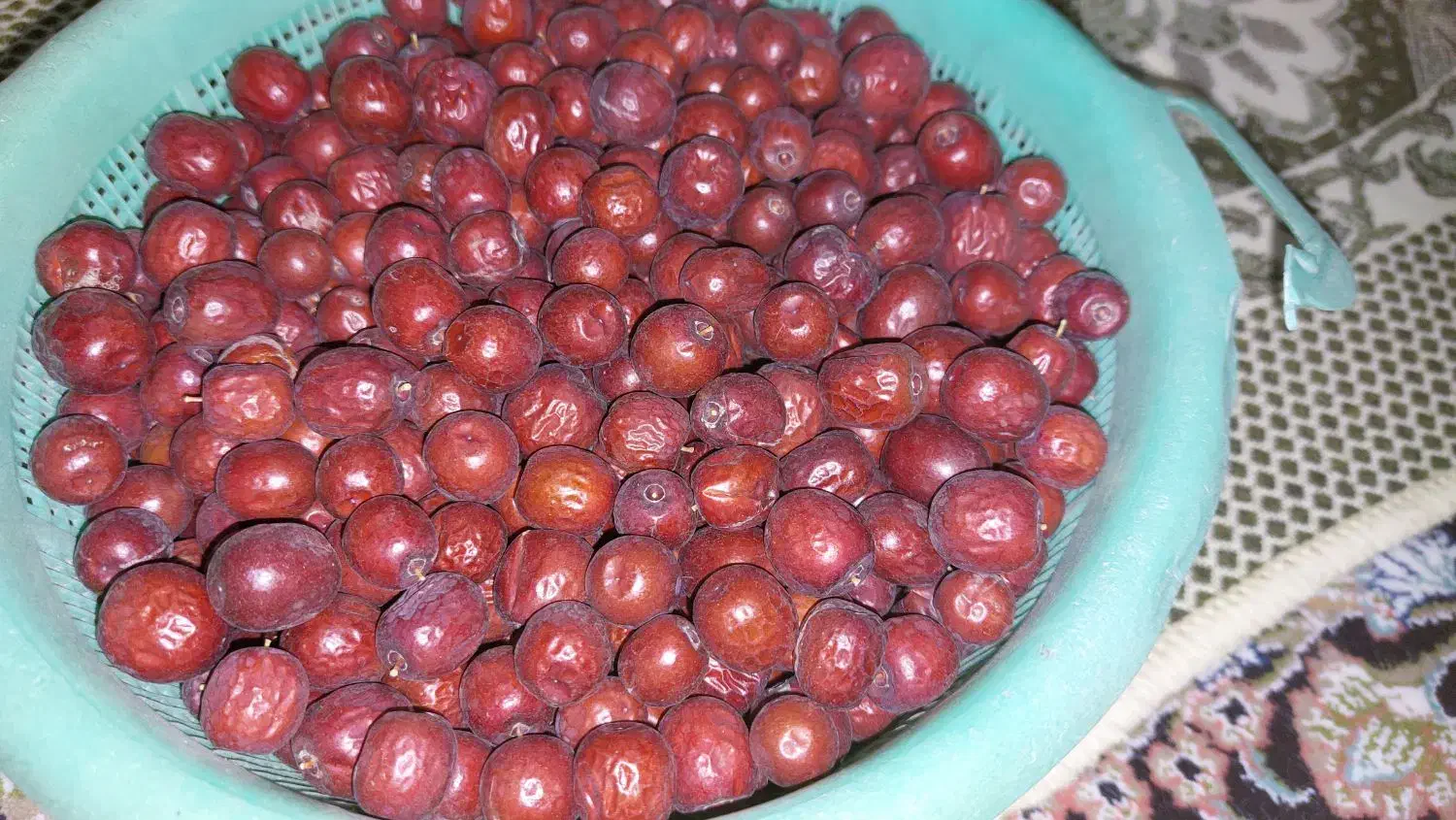 عناب|خوردنی و آشامیدنی|بیرجند, |دیوار