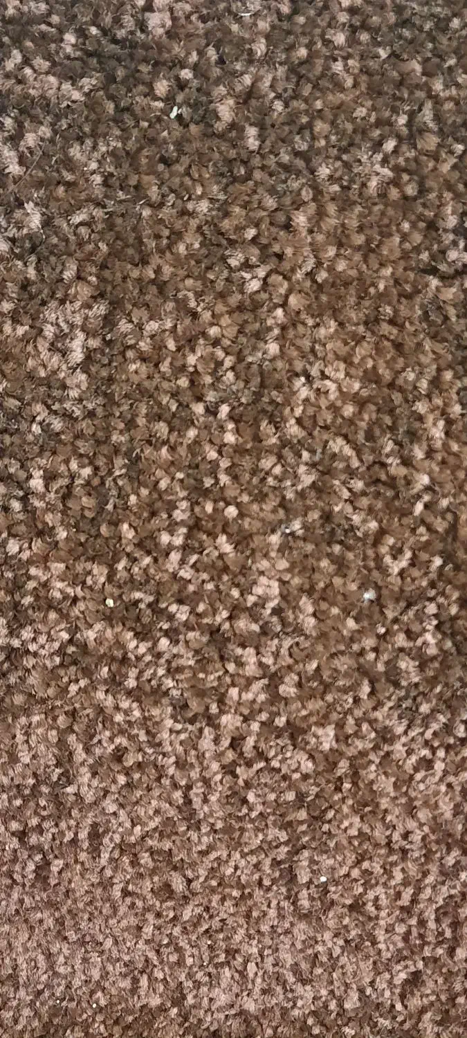 موکت خام بلند|موکت|بندر گناوه, |دیوار