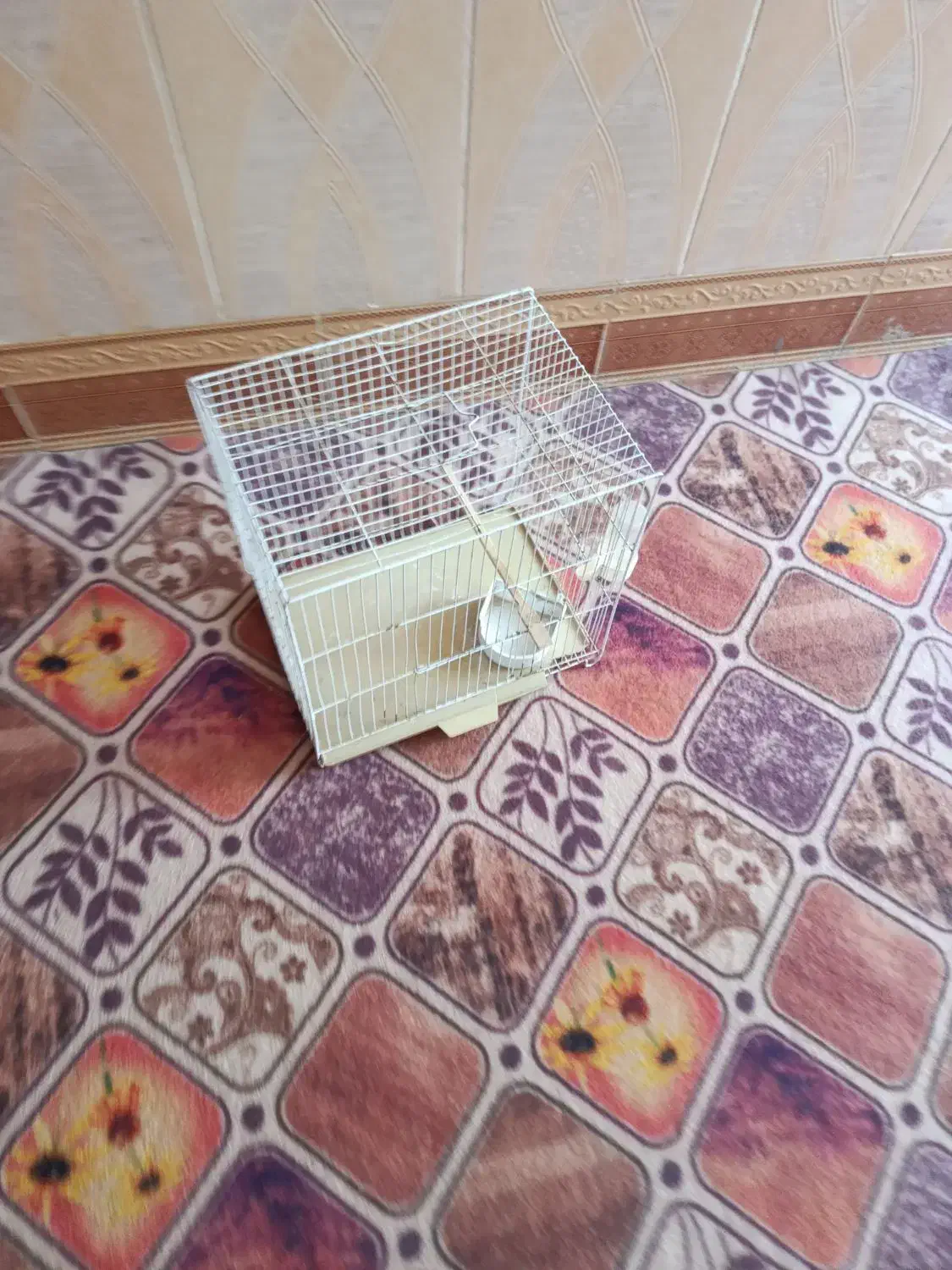 قفس|لوازم جانبی حیوانات|زهک, |دیوار