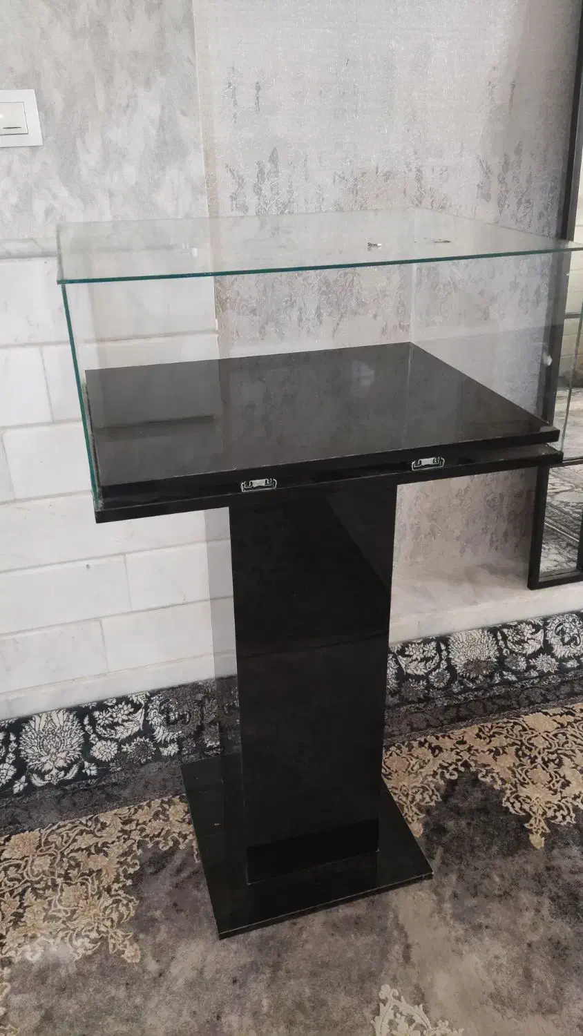 ویترین و میز جواهرات و اکسسوری|بوفه، ویترین، کنسول|قم, باجک یک|دیوار