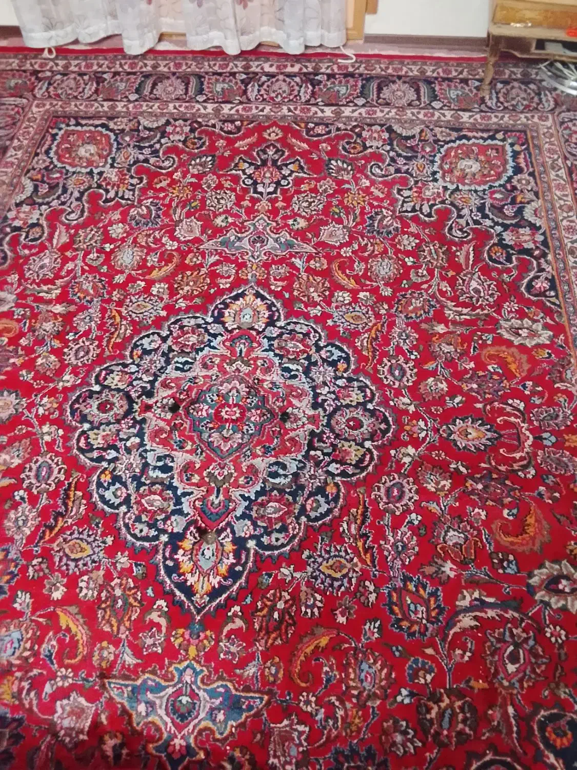 دو عدد12متری فرش یکی دستبافت یکی ماشینی برجسته|فرش|اردبیل, |دیوار