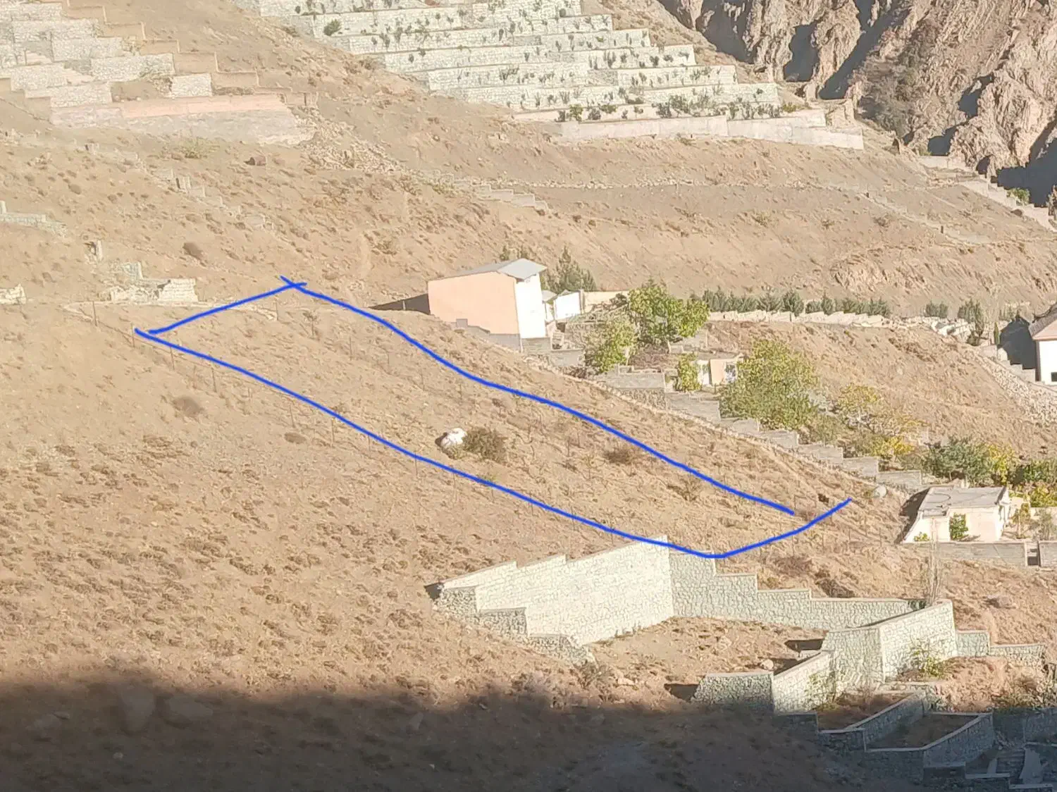 زمین رندان|فروش زمین و ملک کلنگی|کن, |دیوار