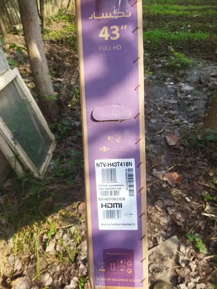 ثلویژیون|تلویزیون و پروژکتور|پیربازار, |دیوار